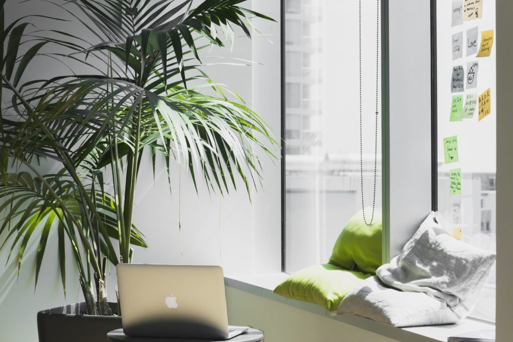 ideal workplace design with tall green plant, natural light, and comfortable seating